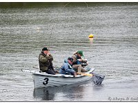 2014-05-22 -IMG 9999